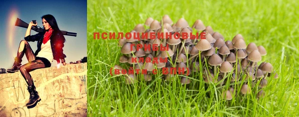 скорость Михайловск