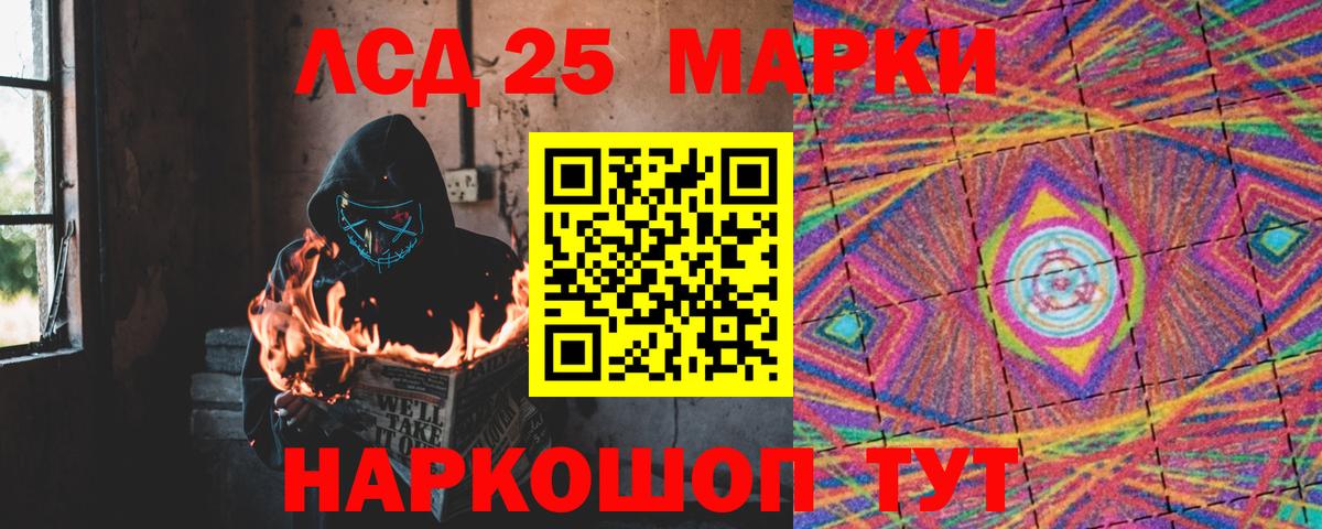 Псилоцибиновые грибы Сальск