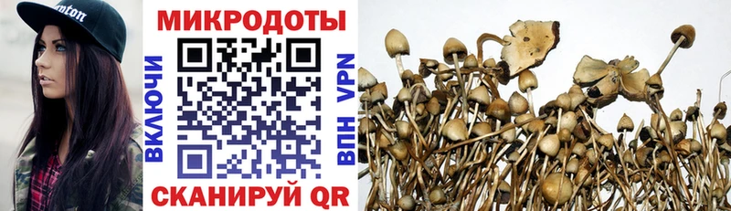 OMG ТОР  цена   Сальск  Галлюциногенные грибы MAGIC MUSHROOMS 